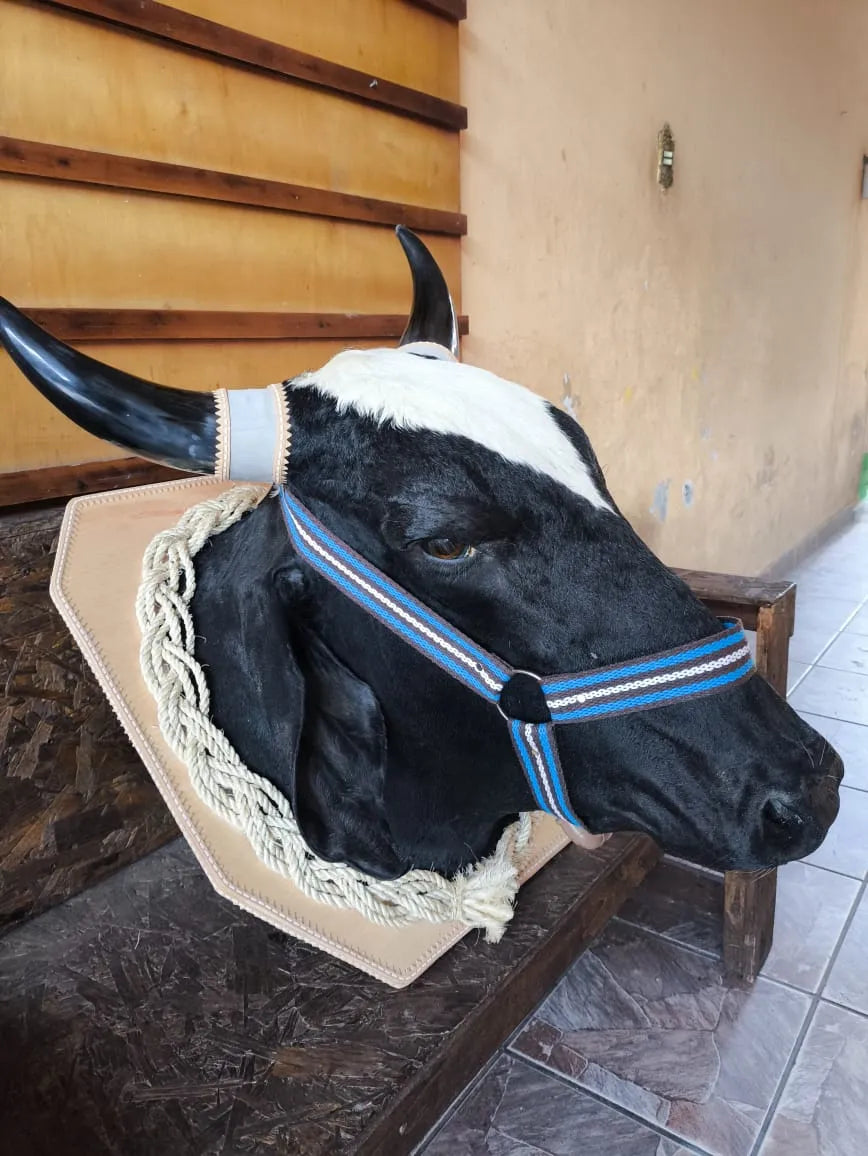 Porta Bebidas Cabeça De Boi Empalhada