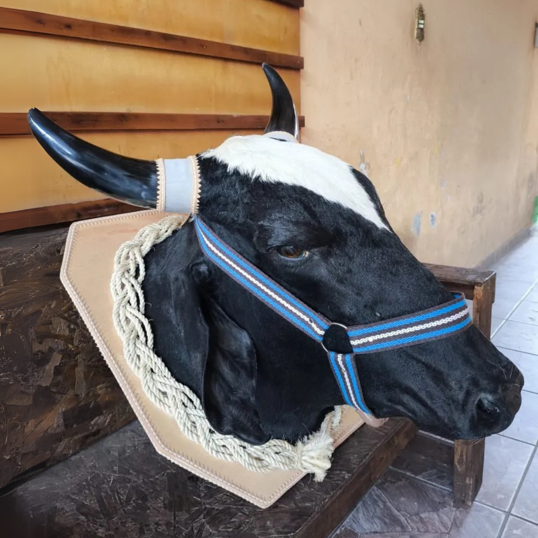 Porta Bebidas Cabeça De Boi Empalhada